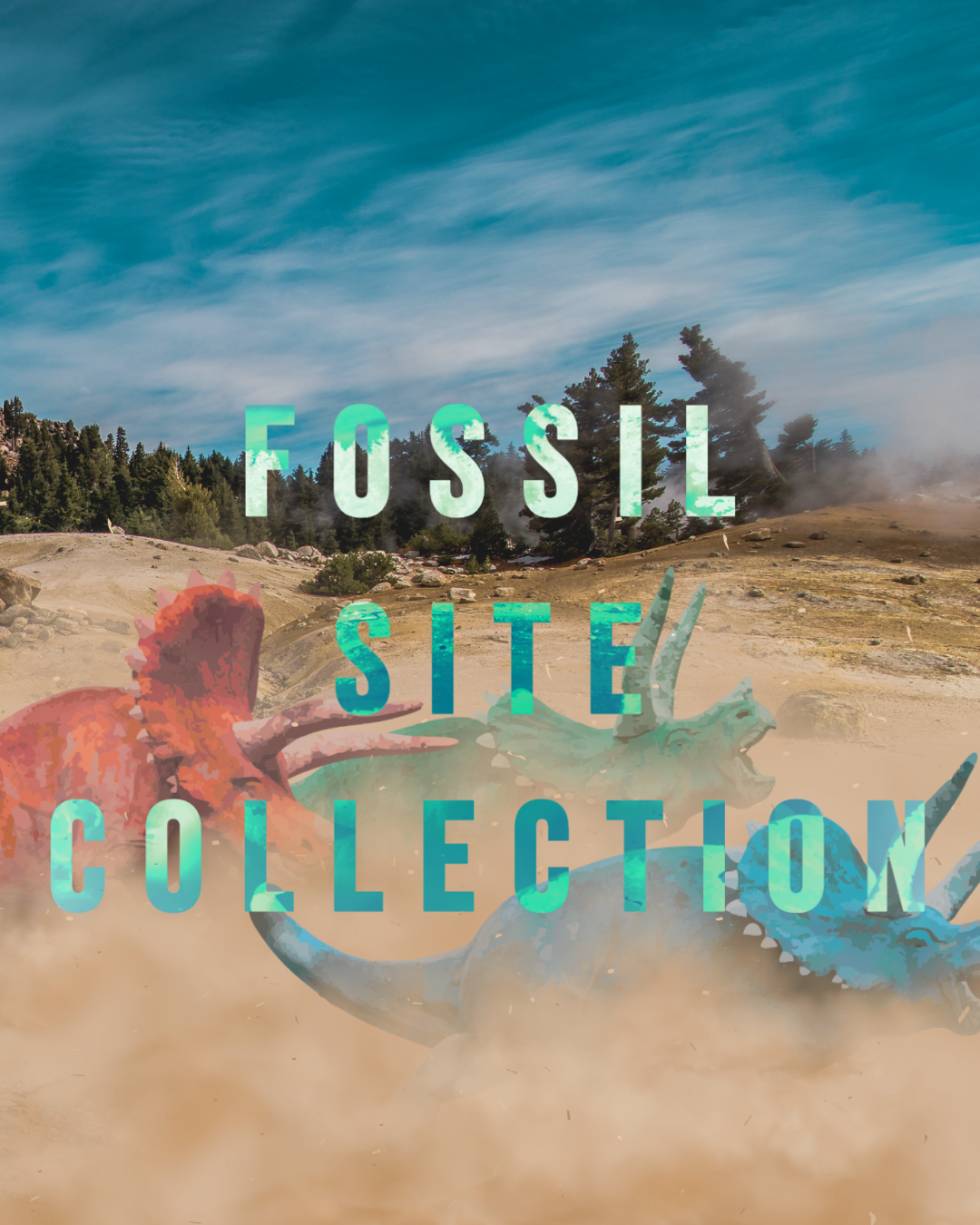 Fossil Site Collection